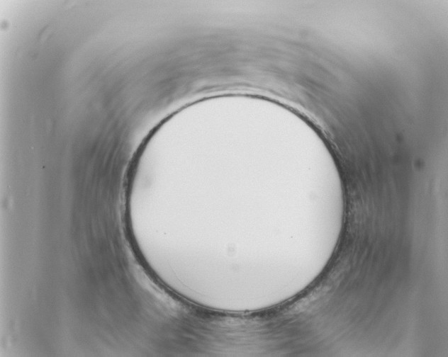 X0000088911518200706291516