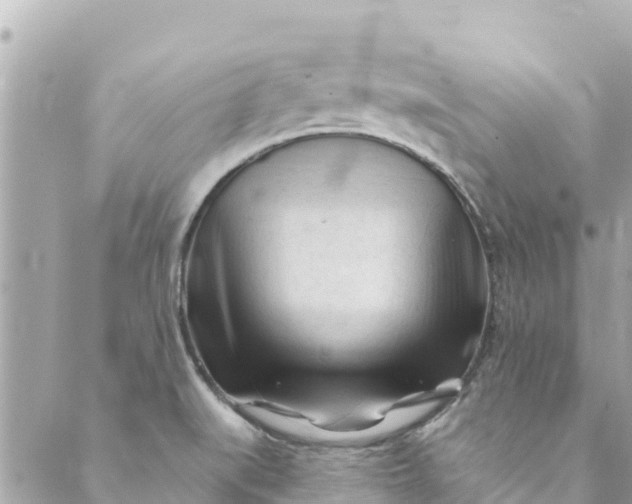 X0000088911519200706291516