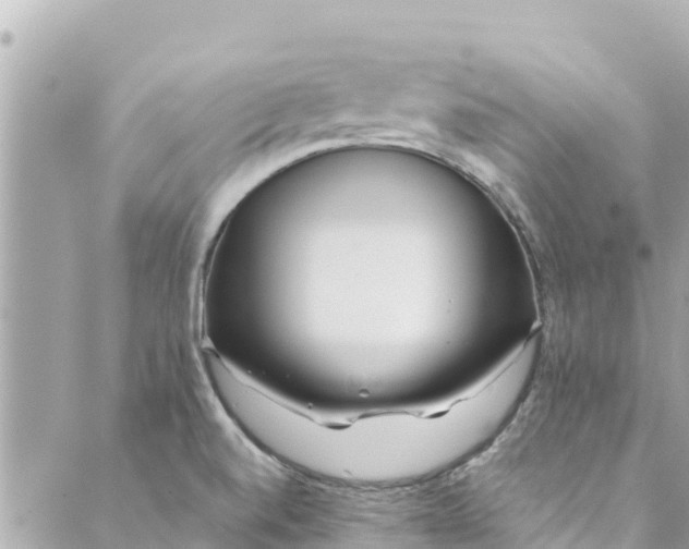 X0000088911520200706291517