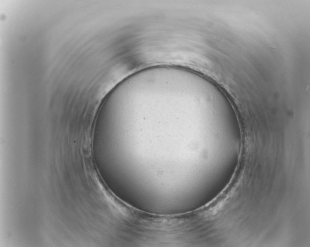 X0000088911521200706291517