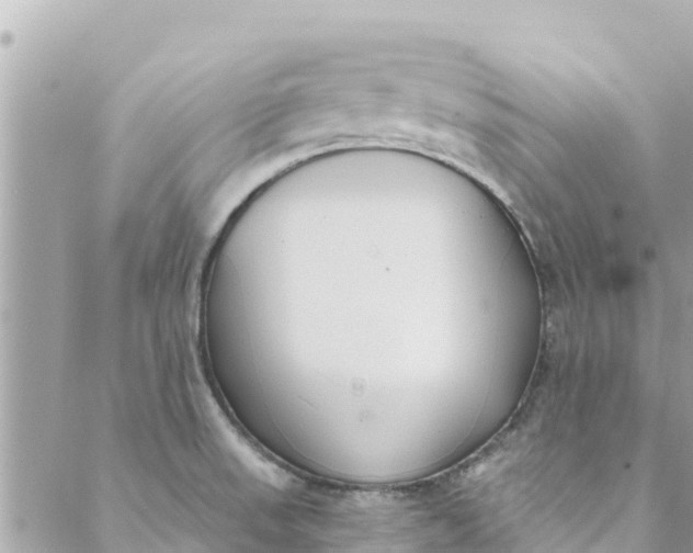 X0000088911523200706291517