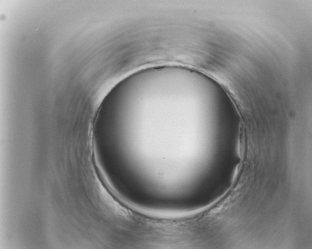 X0000088911524200706291517