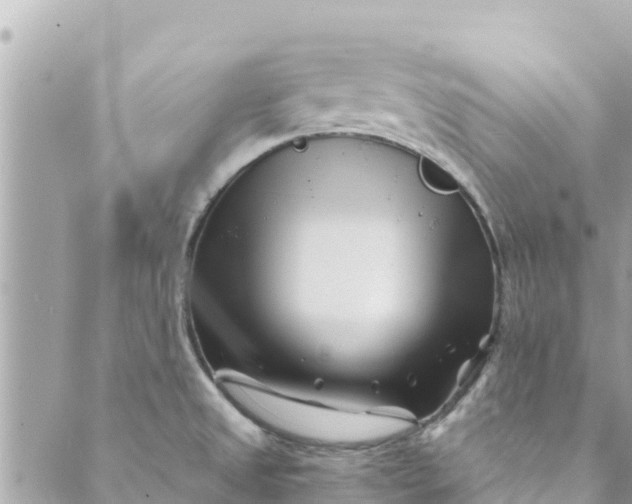 X0000088911525200706291517