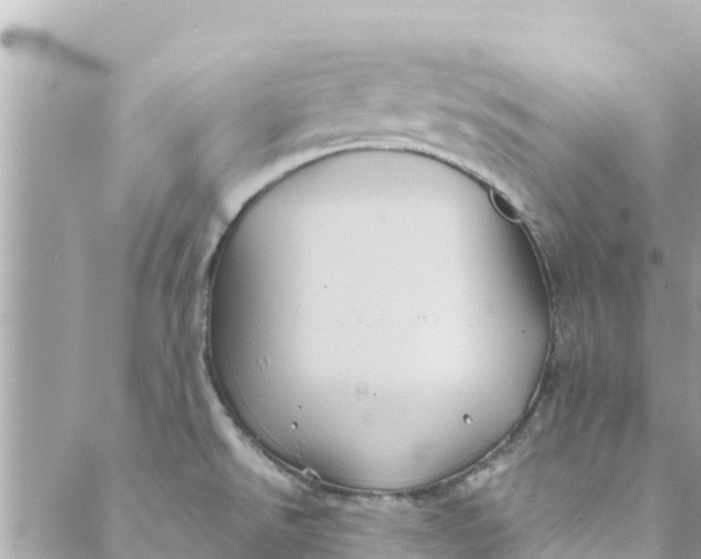 X0000088911526200706291517