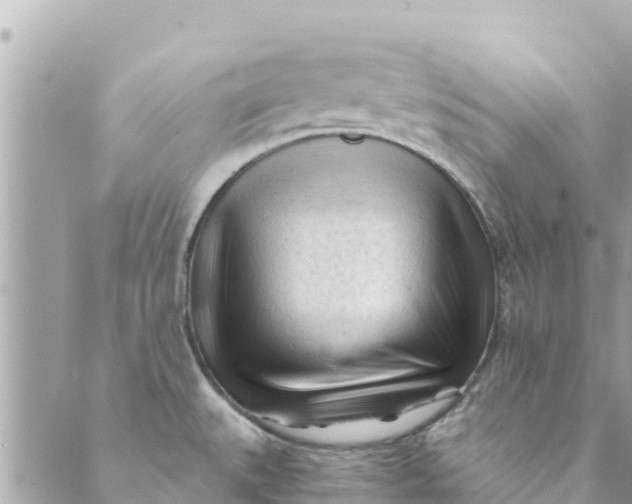 X0000088911527200706291517