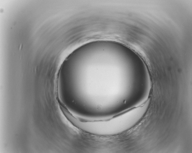 X0000088911528200706291517