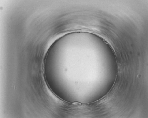 X0000088911531200706291517