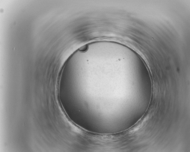 X0000088911533200706291517