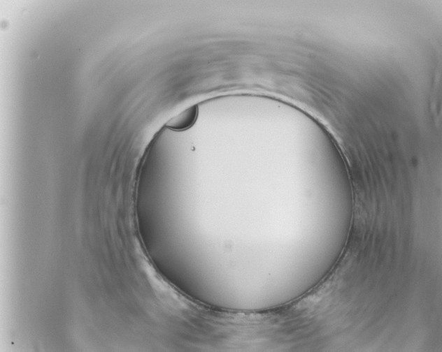 X0000088911534200706291517