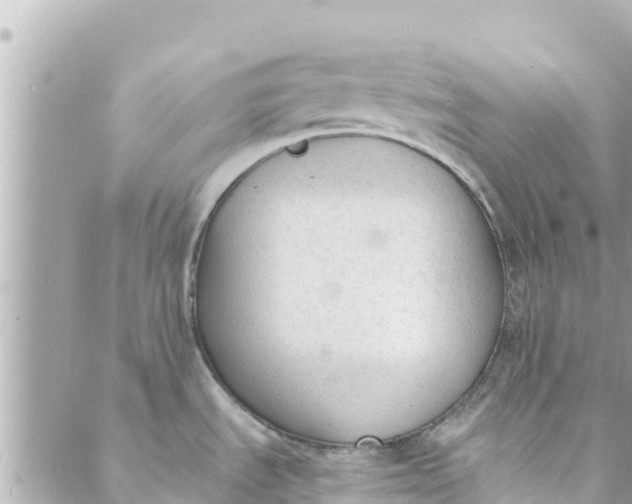 X0000088911535200706291517