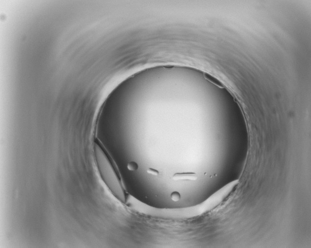 X0000088911536200706291517