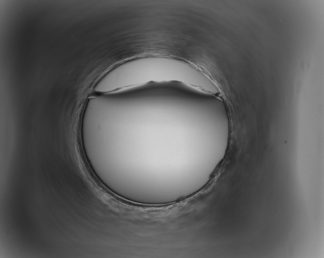 X0000088910001200707061354