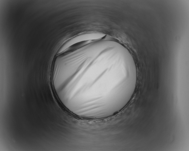 X0000088910003200707061354