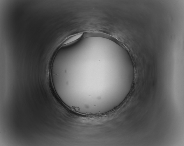 X0000088910005200707061354