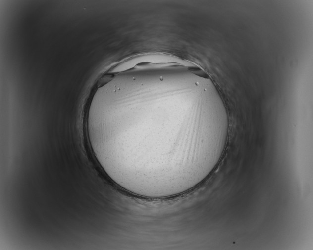 X0000088910006200707061353