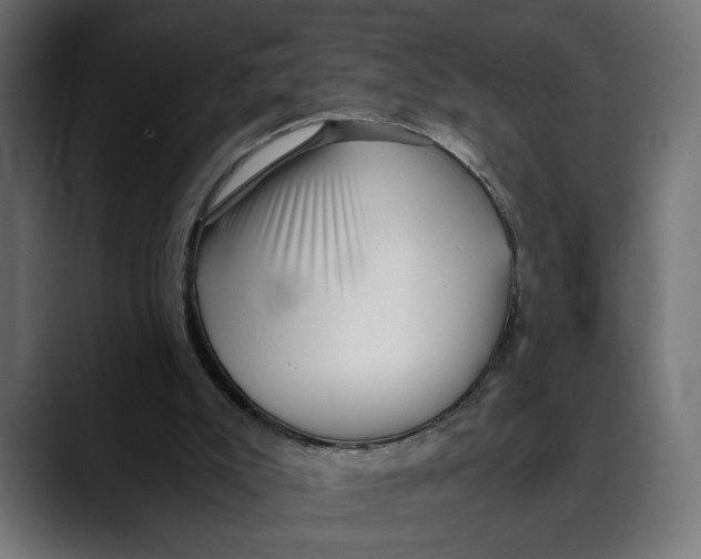 X0000088910007200707061353