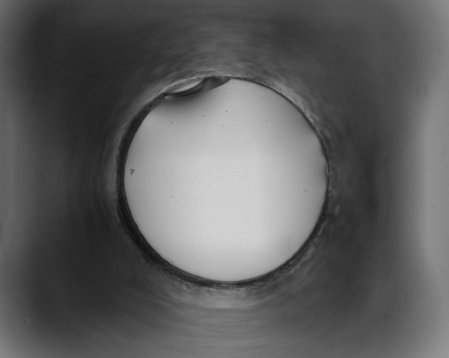 X0000088910008200707061353