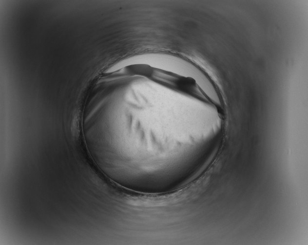 X0000088910009200707061353