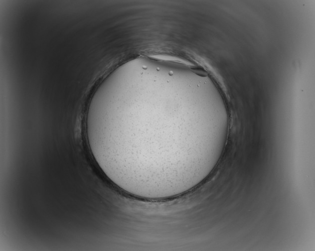 X0000088910010200707061353