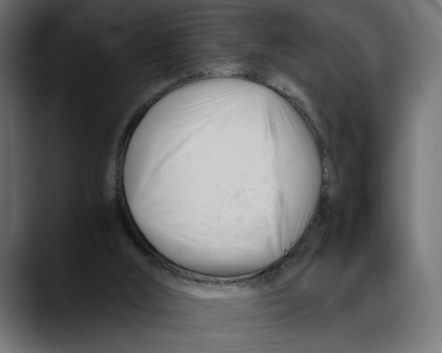 X0000088910012200707061353