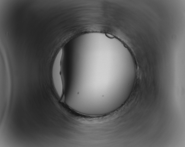 X0000088910013200707061353