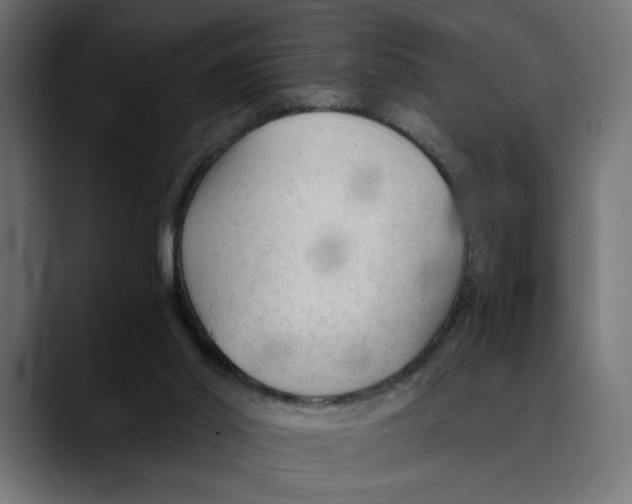 X0000088910014200707061353