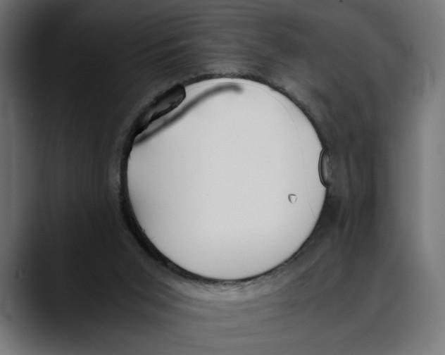 X0000088910015200707061353