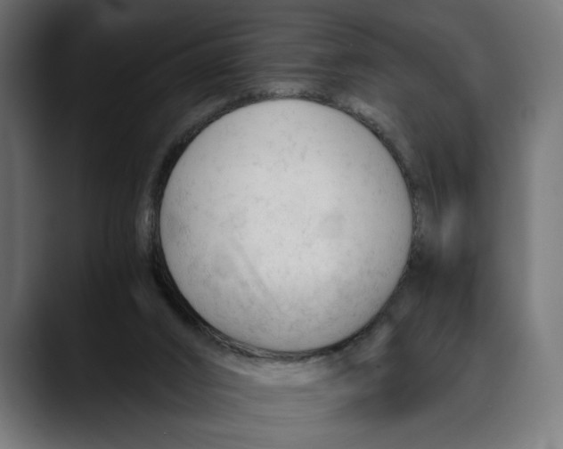 X0000088910016200707061353