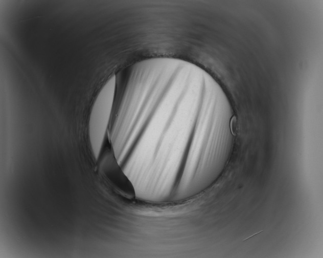 X0000088910017200707061353