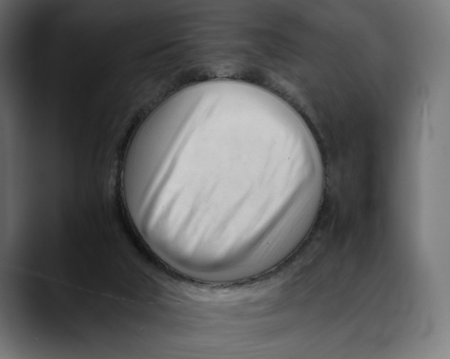 X0000088910018200707061353