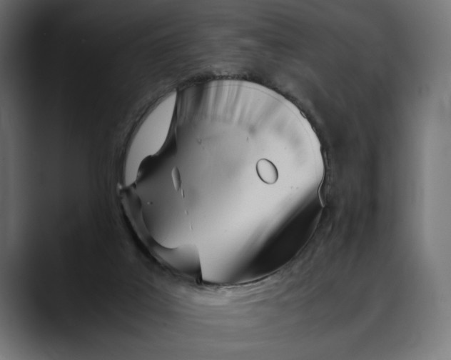 X0000088910019200707061353