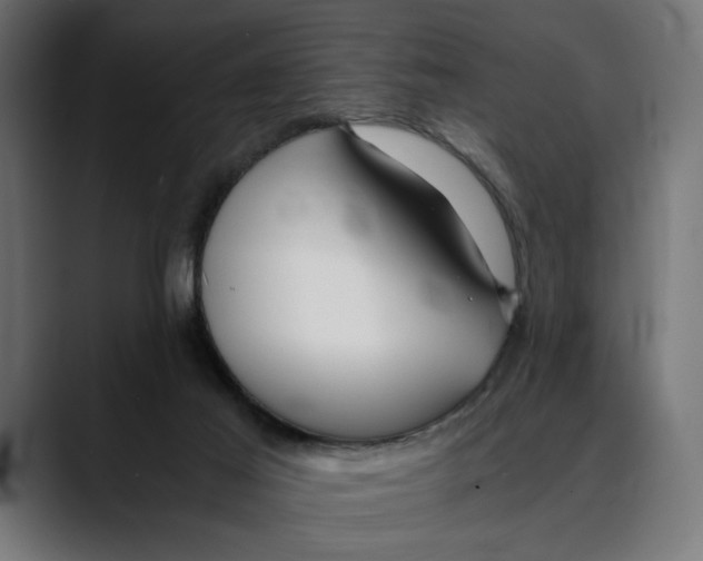 X0000088910021200707061353