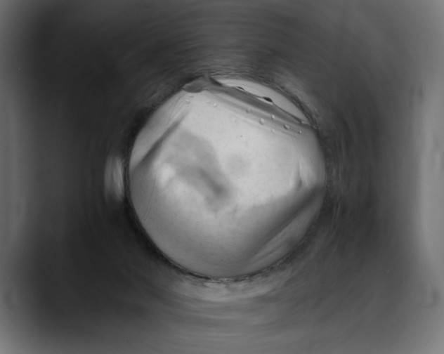 X0000088910022200707061353