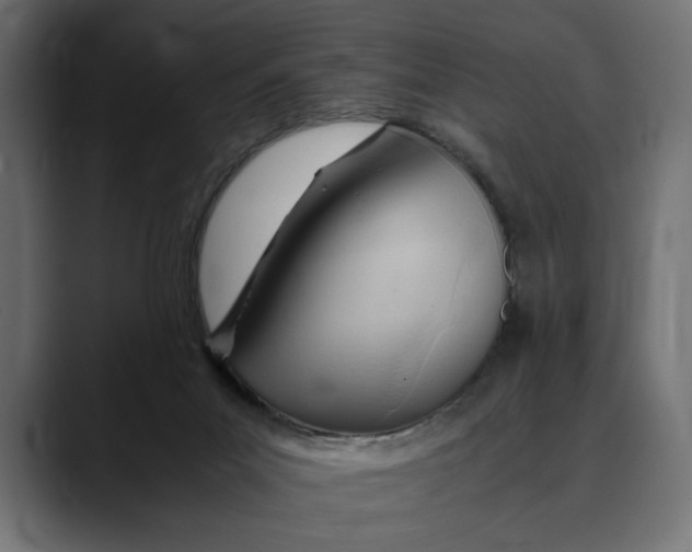 X0000088910023200707061353