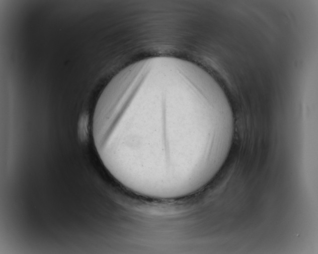 X0000088910024200707061353