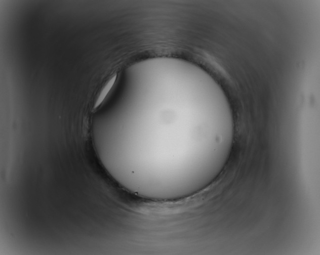 X0000088910025200707061353