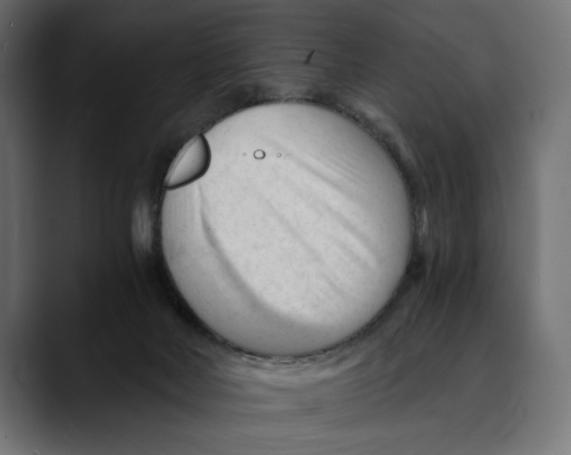 X0000088910026200707061353