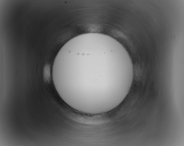 X0000088910028200707061353