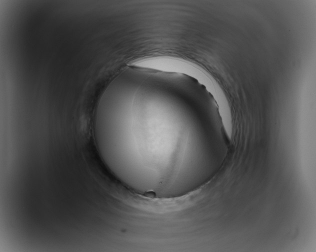 X0000088910031200707061353