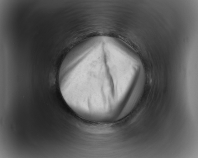 X0000088910032200707061353