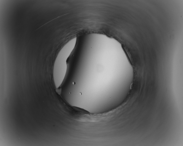 X0000088910033200707061353