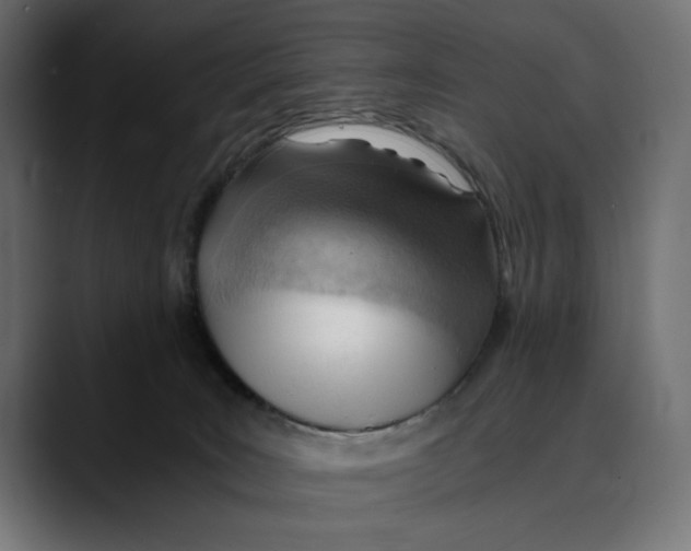 X0000088910035200707061353