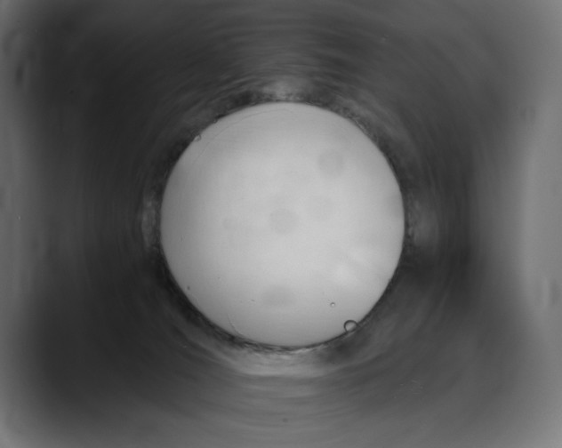 X0000088910036200707061353