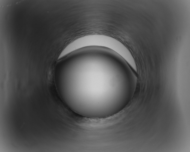 X0000088910037200707061353