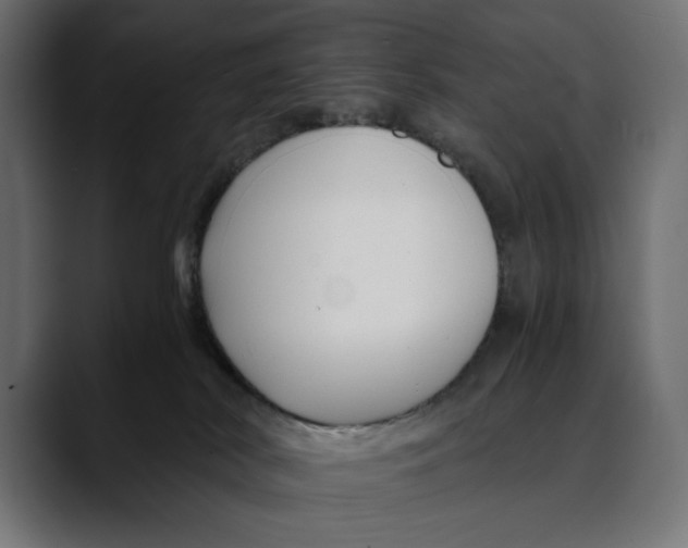 X0000088910038200707061353