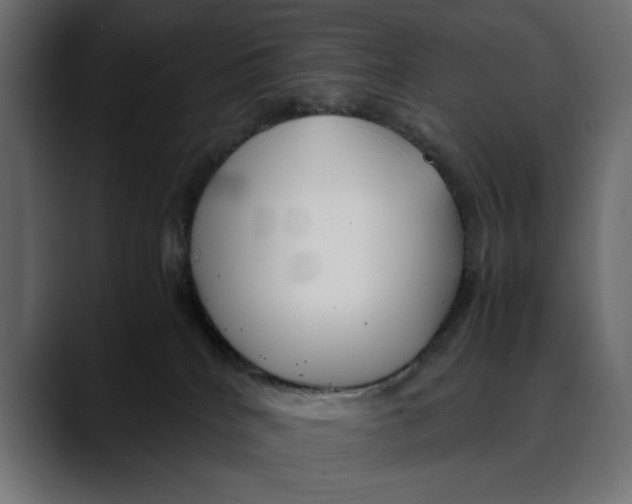 X0000088910040200707061353