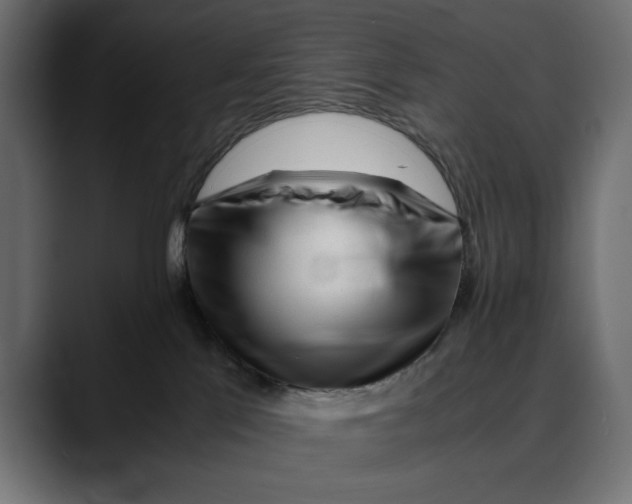 X0000088910041200707061353