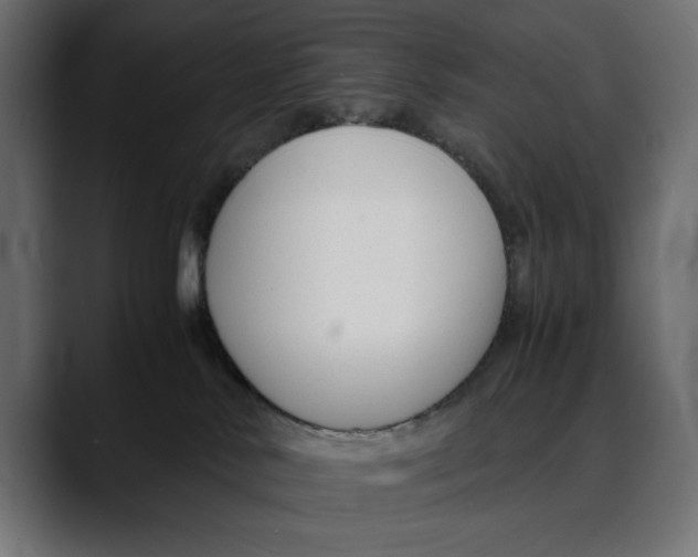 X0000088910042200707061353