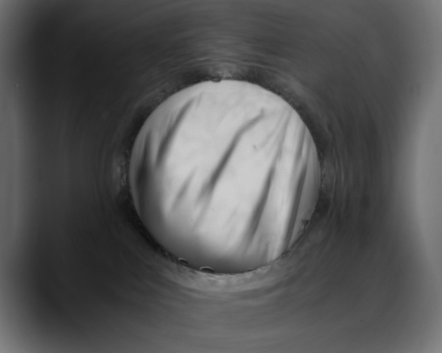 X0000088910043200707061353