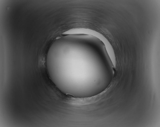 X0000088910045200707061353